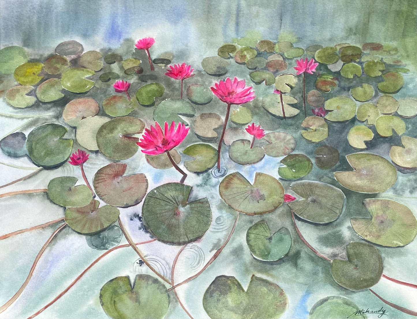 Water lilies