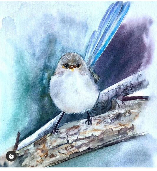 Fairy Wren Perched Painting -Original Painting